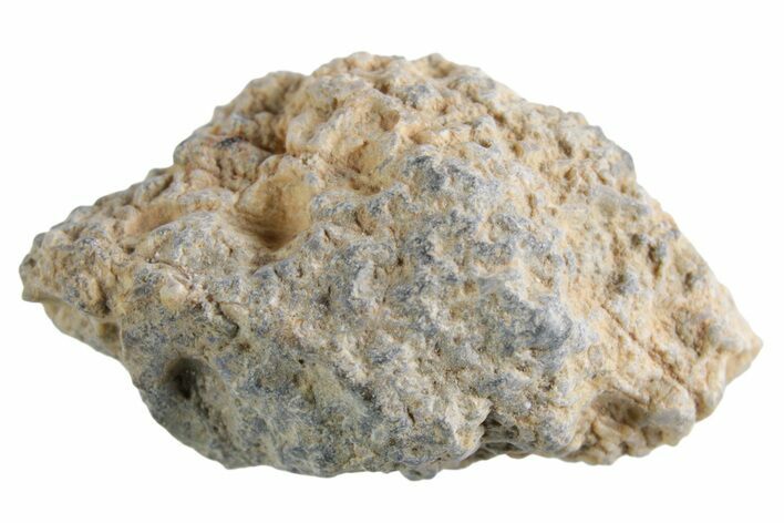 Lunar Meteorite ( g) - Bechar #360383